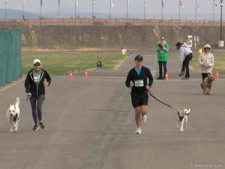 Dogs 'dawdle' by their owners' sides for annual event in Balloon Fiesta Park