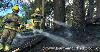 Public being 'put at risk' after fire engine removed from Poole station