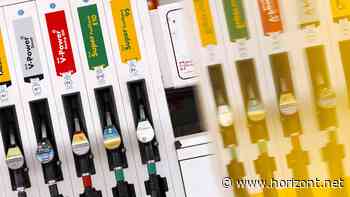 Widersprüche beim Klimaengagement: Wie Agenturen Klimaschutz predigen und Greenwashing fördern