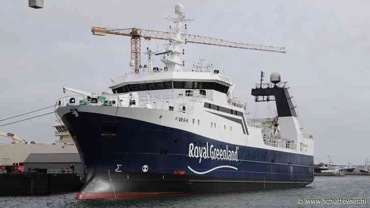 Flink lager quotum voor Groenlandse garnalenvissers