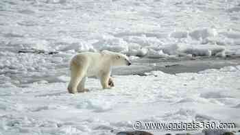 New Study Reveals Weaker Atlantic Current Could Mitigate Arctic Warming