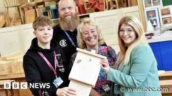 Pupils make bat boxes to tackle population decline
