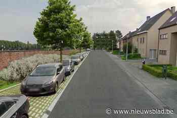 Grijze Kerkhofweg wordt veel groener: “We ontharden hier zo’n 1.000 vierkante meter”