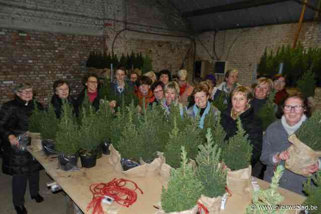 Verkoop van minikerstbomen ondersteunt dertig lokale projecten