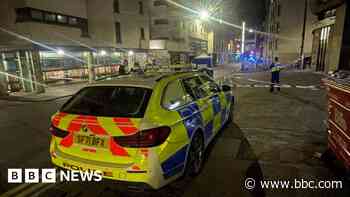 Man, 74, dies after being hit by bus as police urge social media restraint