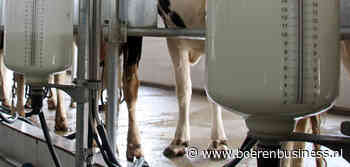 Melkprijs Eko-Holland doet kalme stap omhoog