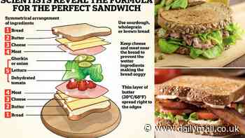 The formula for the perfect SANDWICH: 'Real' butter spread right to the edges, two slices of brown bread, double folded meat and DEHYDRATED tomato