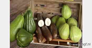 "Na het succes van onze cassave in de VS, kijken we nu naar Europa"