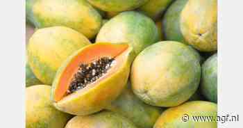 RASFF: Acefaat en methamidofos in papaja's uit Brazilië