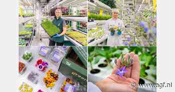 "We zijn er trots op dat we nauw samenwerken met chef-koks om precies aan hun behoeften te voldoen"