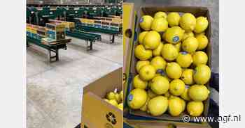 "Fatsoenlijk Mexicaans citroenseizoen"