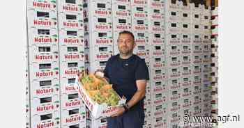 Siciliaanse druivenseizoen vroeg beëindigd