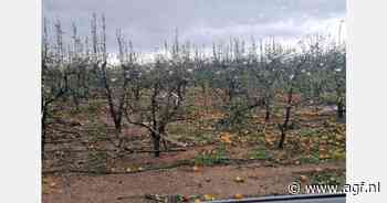 "Kaki's hardste getroffen door het noodweer"