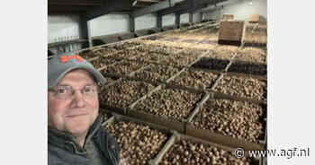 "Met een magere 14 à 15 cent per kilo wacht de uiensector op wat reuring"