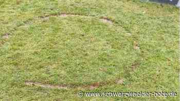 Frust in Vollmaringen: Vandalismus auf dem  neuen Inklusionsspielplatz