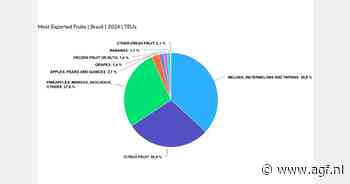 Braziliaanse druivenexport onder druk, maar export mango's en limes stijgt