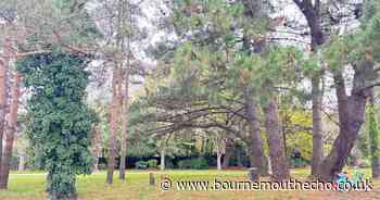 Investigation launched after report of sexual assault at park