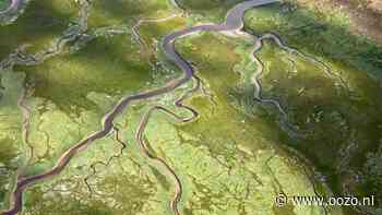 Wijzer-film ‘Holland-Natuur in de delta’