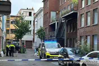 Vier jaar cel voor aanslag tegen appartement in Sint-Andrieswijk