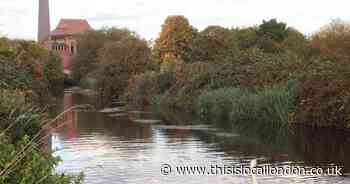 The east London nature attraction that is the biggest of its type in Europe