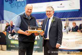 One of UK's most successful pedigree livery experts wins award