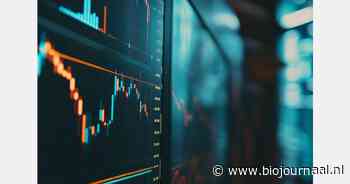 Prijzen internationale goederenhandel dalen in 2024 steeds minder hard