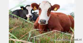 De Hooilanden gaat voor nieuwe vrijloopstal
