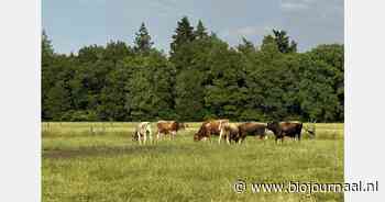 "Kies voor groene groei veestapel in plaats van generieke krimp"
