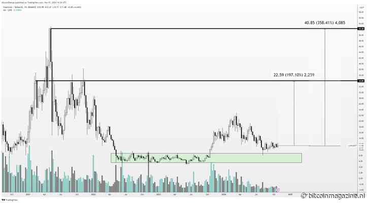 Analist noemt twee altcoins die met 600% kunnen stijgen deze cyclus