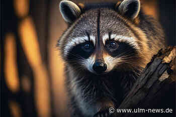 Autofahrer weicht einem Tier aus und fährt gegen einen Baum