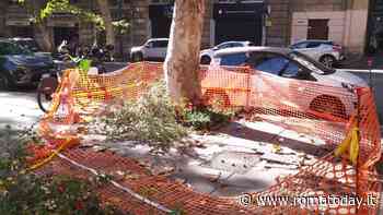 Via Merulana, marciapiedi sconnessi e lampioni spenti. Alla strada serve un restyling