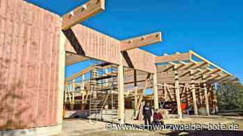 Gechinger Schäferei: Nach langem Ringen bald am Ziel