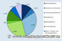 Zahlen und Fakten: Statistisches Jahrbuch 2023 liefert umfassenden Überblick über Wiesbaden
