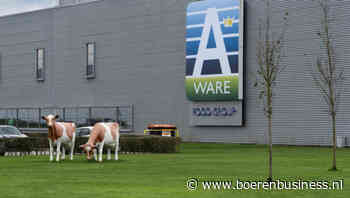 A-ware plust bescheiden, Leerdammer geeft gas