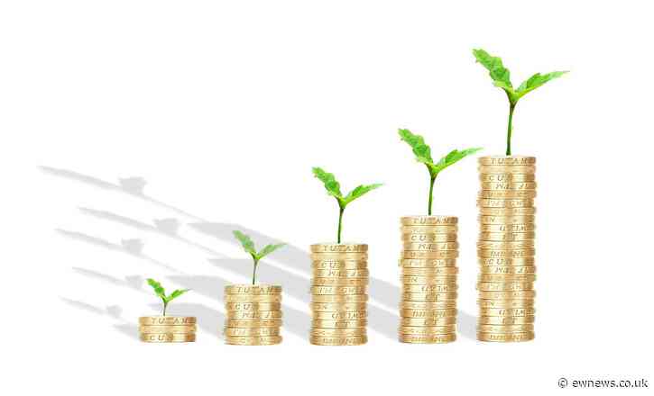 Electrical sector responds to Autumn budget
