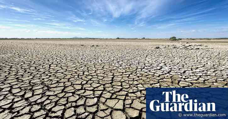 Degradation of land is threat to human life, Saudi government says