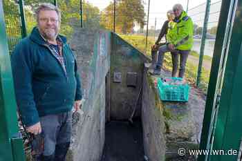Bunker am Kanal ist jetzt Zufluchtsort für Fledermäuse