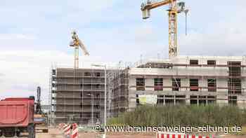 So viel Natur-Ausgleich fehlt in Wolfsburg wegen Bauprojekten