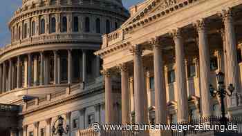 Wahlleute bei der US-Wahl 2024: Was ist das Electoral College?