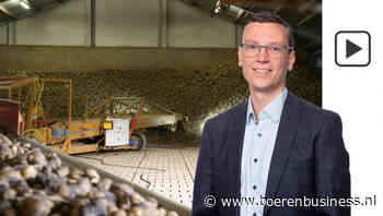 Aardappelmarkt kan de balans nu gaan opmaken
