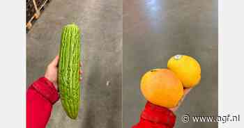 “Voor veel consumenten worden exoten steeds normalere producten”