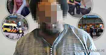 Instanties werkten langs elkaar heen, waardoor Jamel L. AH-medewerkster Antoneta kon doodsteken