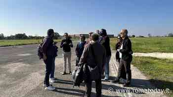 Parco di Centocelle, parte la sostituzione degli alberi secchi. Sarà realizzata anche un'area cani