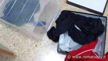 Scia di furti nelle scuole durante il ponte. Genitori in allarme: "A rischio la sicurezza dei bimbi"