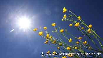 „Flora von Bayern“ ist ein wertvolles Projekt