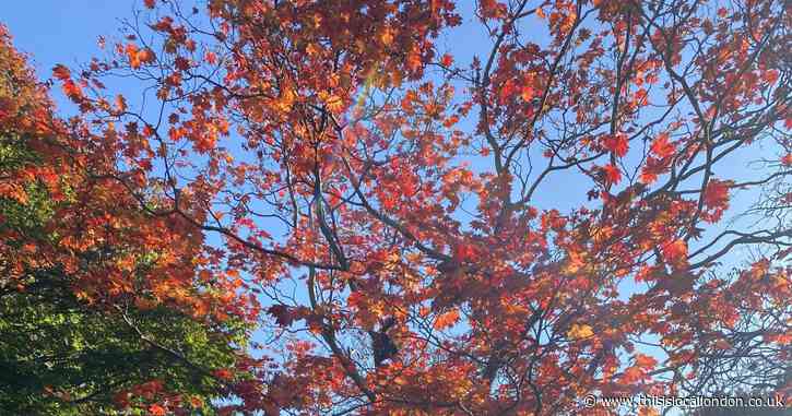 How to Hygge – Making November Feel Less like a Limbo Month