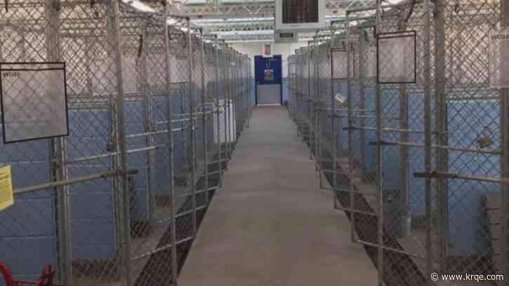 Albuquerque Animal Welfare Department warns pet owners about scammers