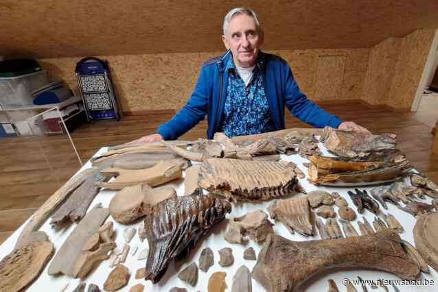 Rudo Vanhees vertaalt passie voor Schulensbroek in boek: “Schulensmeer te danken aan een visioen”