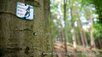 Wandern im Harz: Auf dieser Tour hat die ganze Familie Spaß