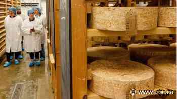 Arrest made in massive U.K. cheese heist, but $540K worth of cheddar still at large